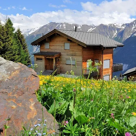 Holiday home Aarninkhof Bettmeralp
